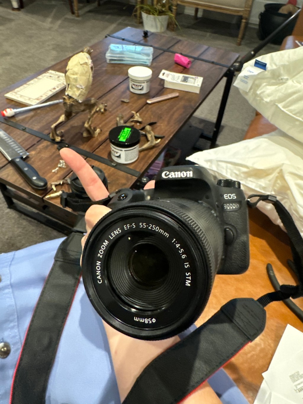 Greetings and Salutations Fellow Traveler!